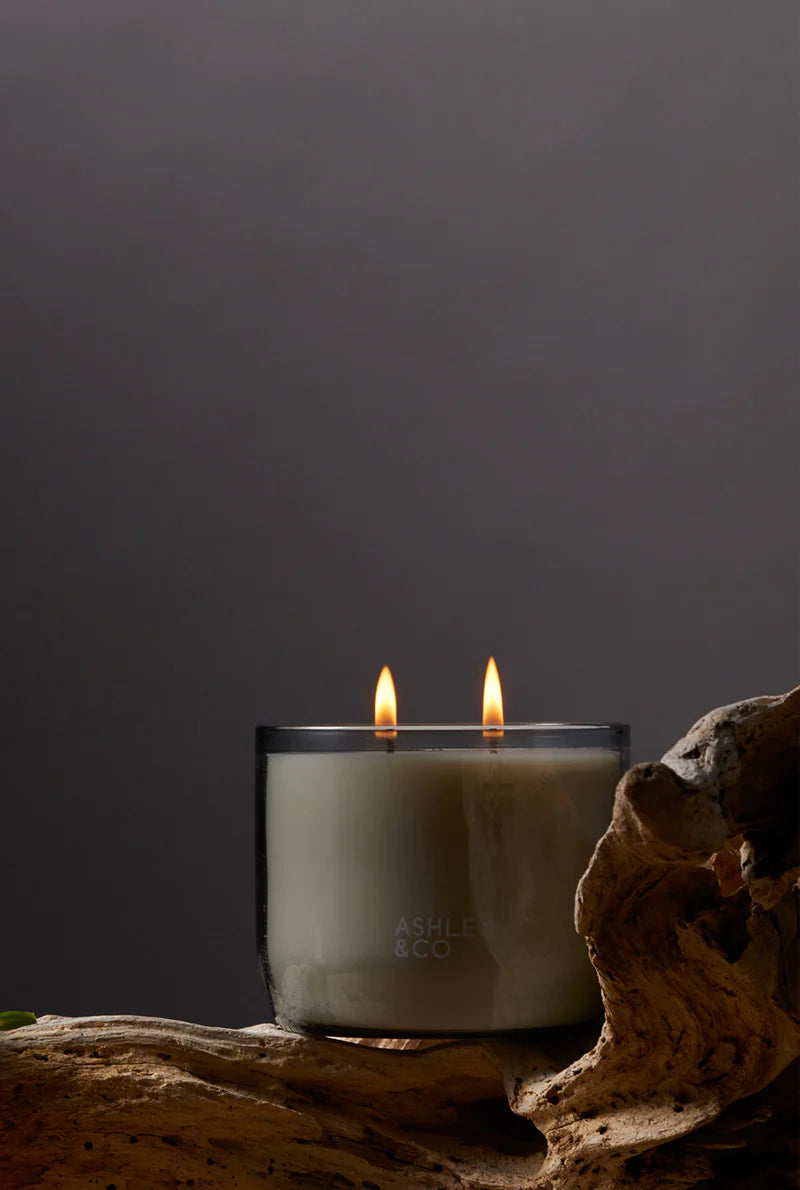 Waxed Perfume | Blossom & Gilt XL