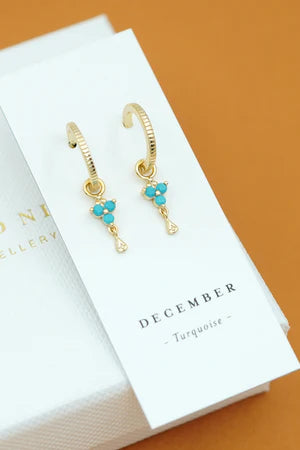 Birthstone Hoops | December | Gold