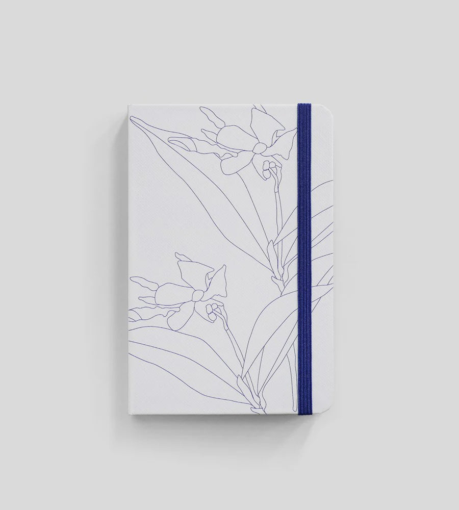 Father Rabbit | Hardcover Notebook | Blue Jasmine