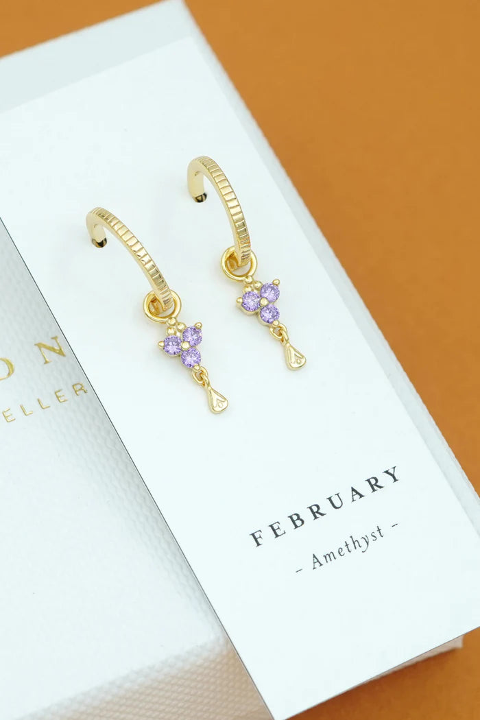 Birthstone Hoops | February | Gold