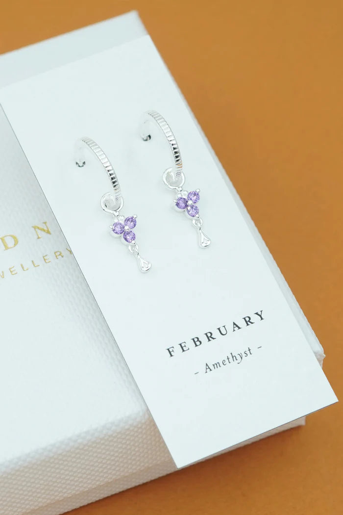 Birthstone Hoops | February | Silver