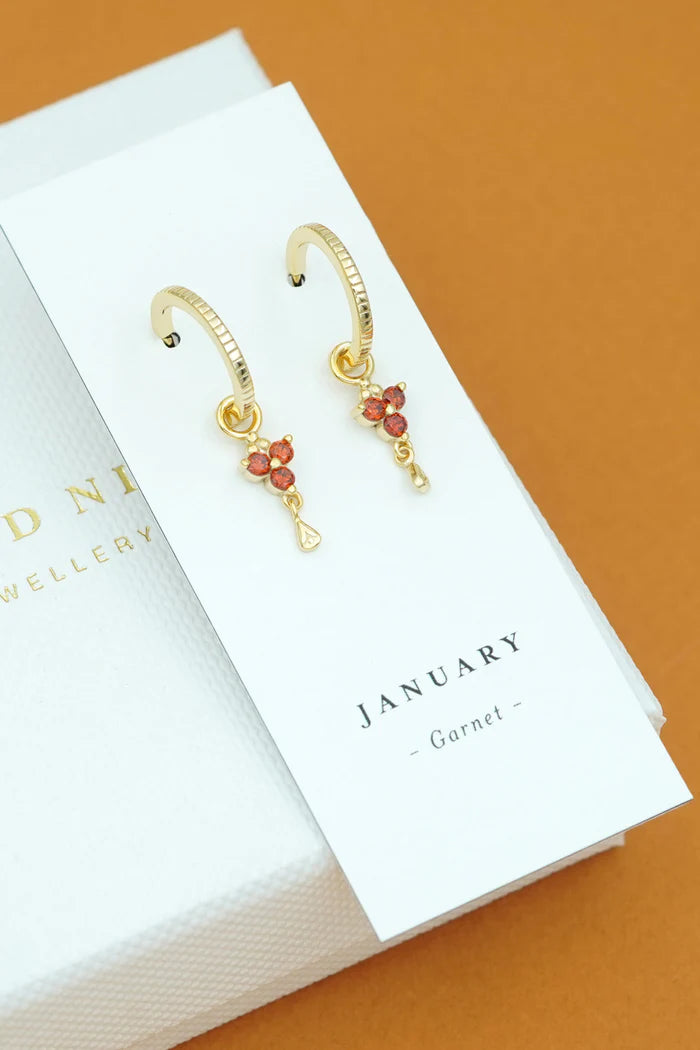 Birthstone Hoops | January | Gold