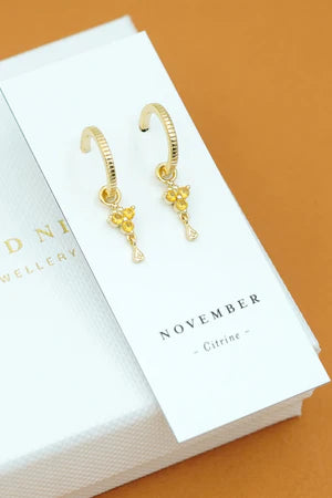 Birthstone Hoops | November | Gold