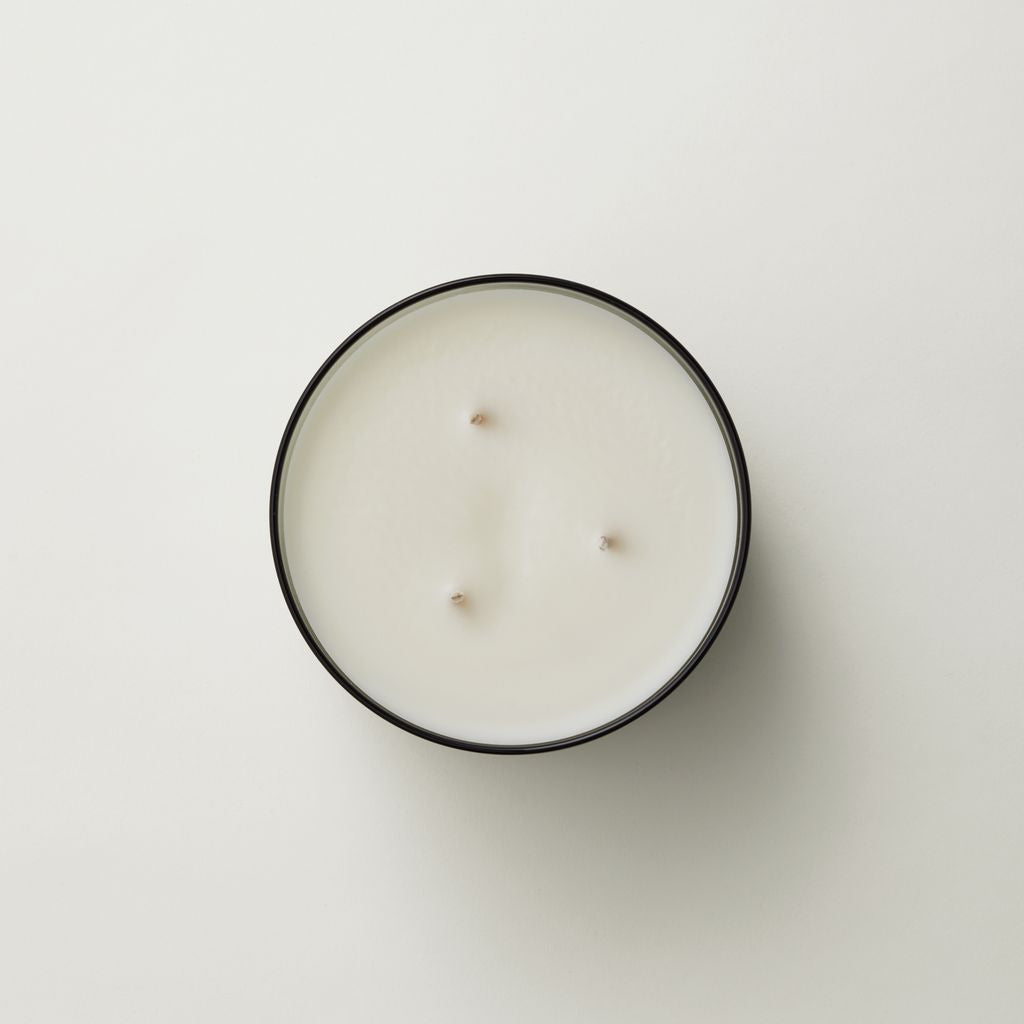 Waxed Perfume | Tui & Kahili XL