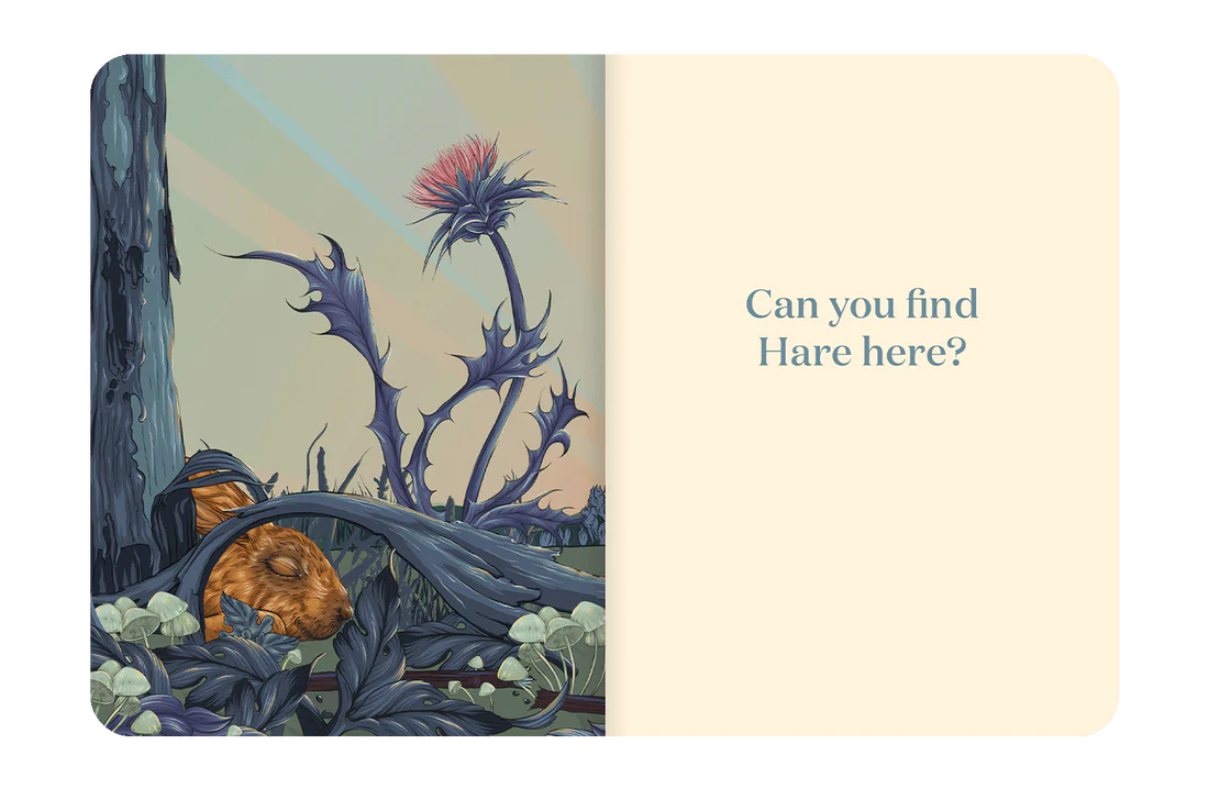 Here Is Hare Board Book