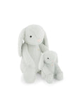 Snuggle Bunnies | Penelope the Bunny | Willow