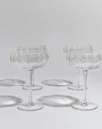 Petal Cocktail Glass - Set of 4