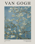 Almond Blossoms by Vincent Van Gogh | White Box Frame A2 wWhite Border