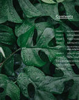 Houseplants and Design - A New Zealand Guide