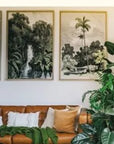 Houseplants and Design - A New Zealand Guide