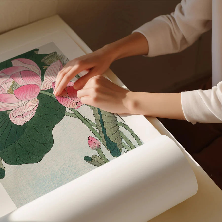Blooming Lotus Flowers | A1 | White Box Frame
