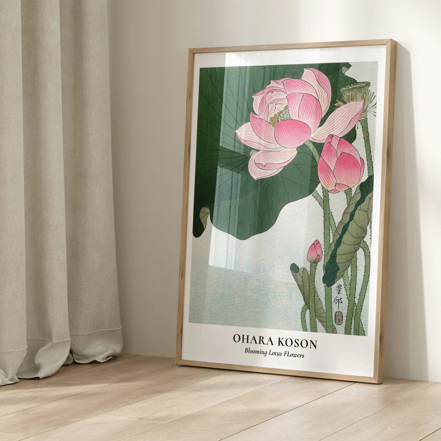Blooming Lotus Flowers | A1 | White Box Frame