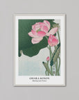 Blooming Lotus Flowers | A1 | White Box Frame