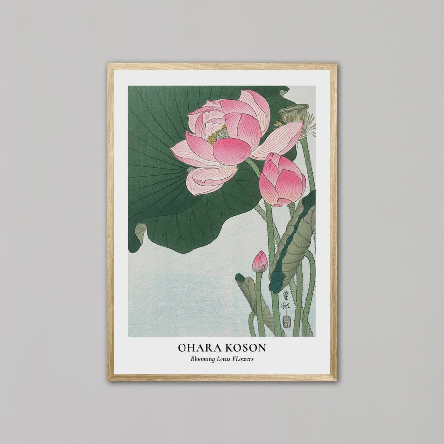 Blooming Lotus Flowers | A2 | Oak Box Frame