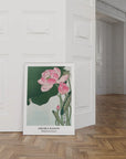 Blooming Lotus Flowers | A1 | White Box Frame