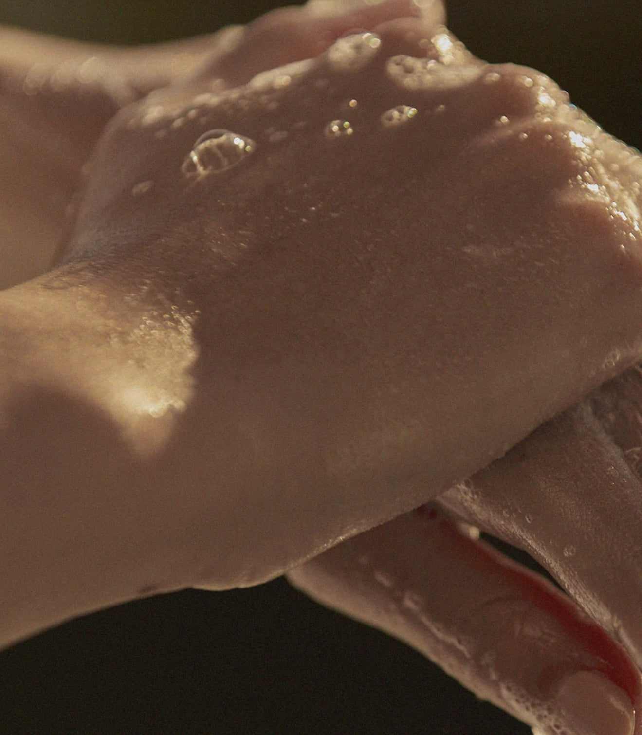 Wash Up - Lotus Leaf & Luster