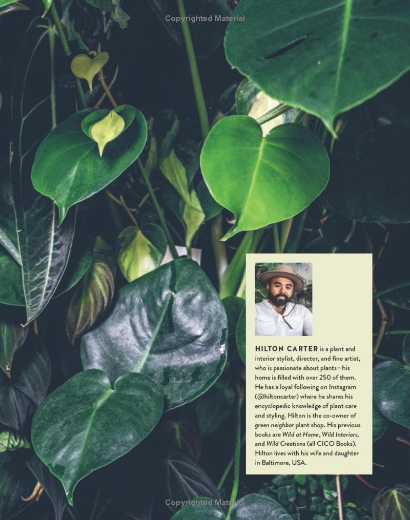 Living Wild | Hilton Carter