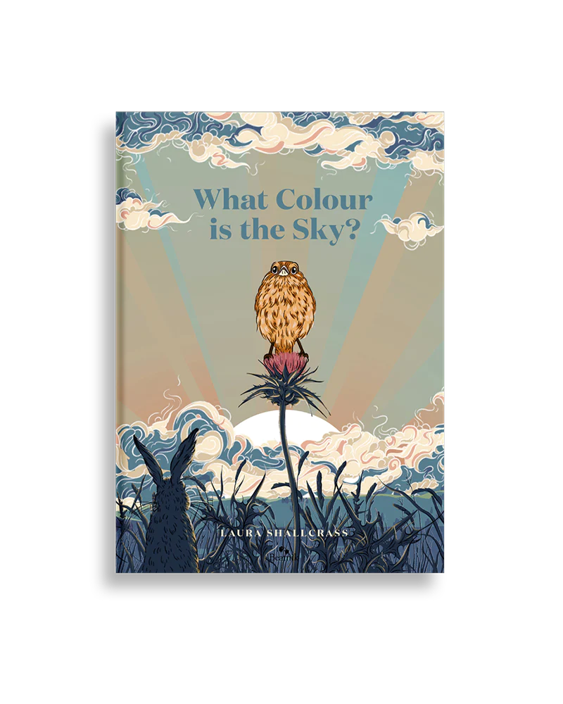 What Colour Is The Sky