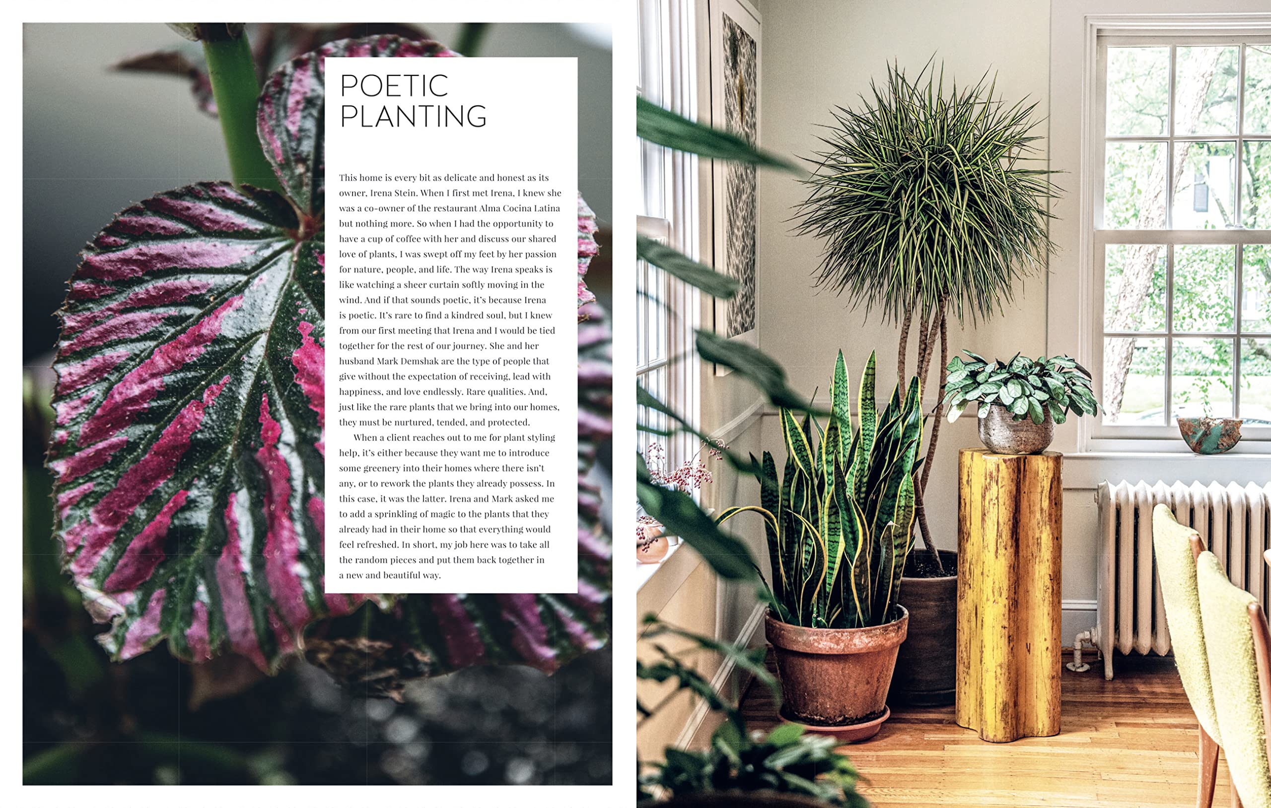 Living Wild | Hilton Carter