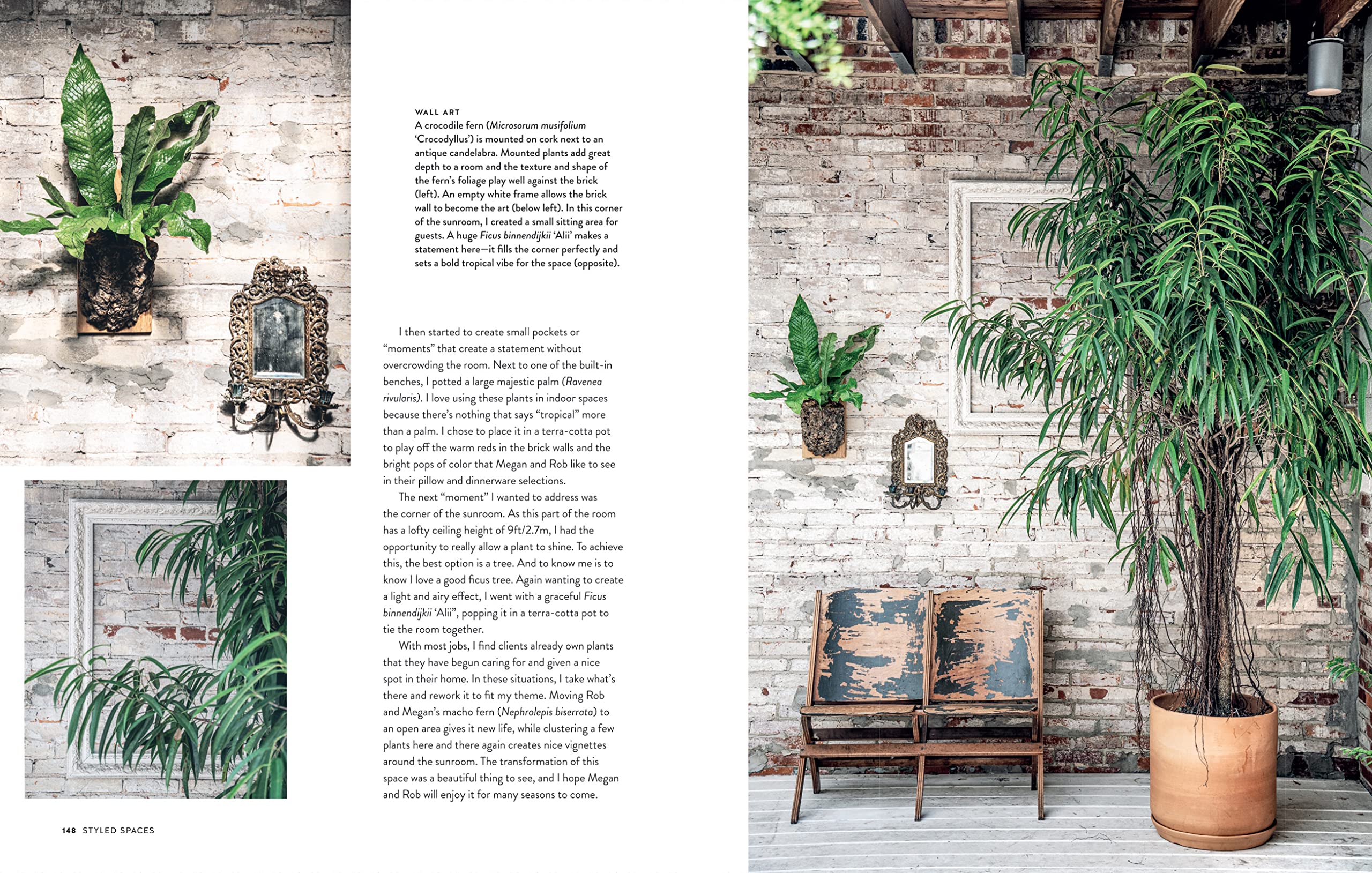 Living Wild | Hilton Carter