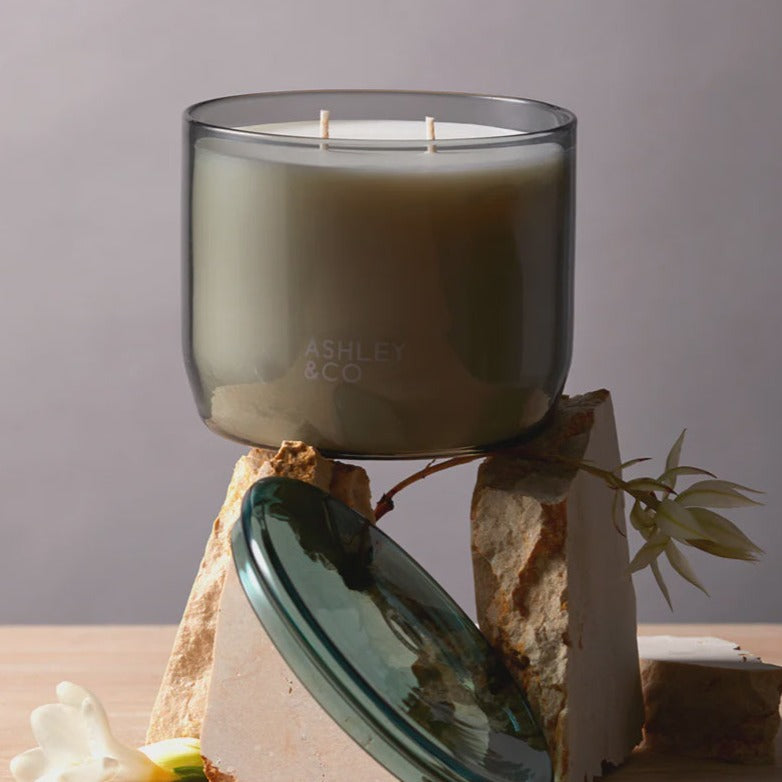 Waxed Perfume | Blossom & Gilt XL