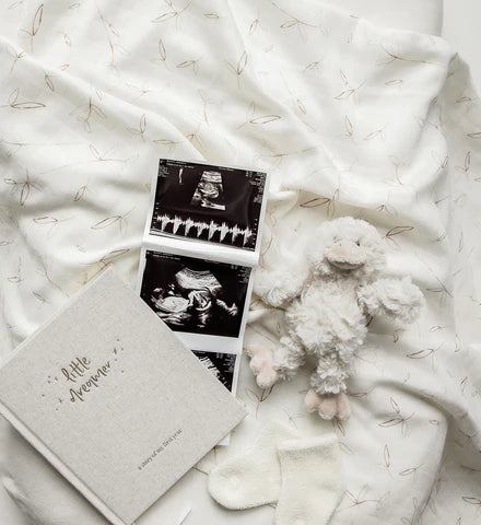 Little Dreamer | Baby Journal | Cloud