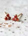 Birthstone Studs | January | Gold