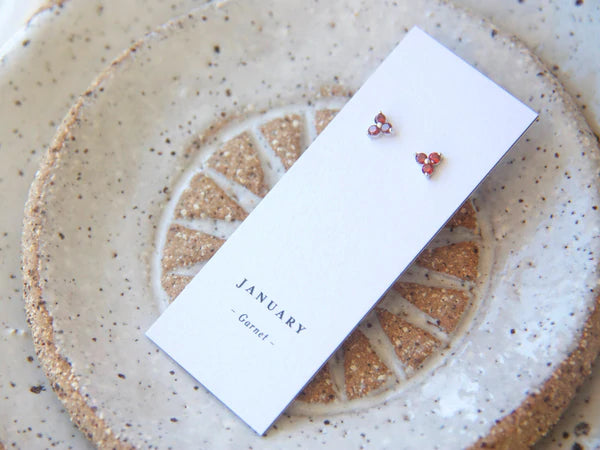 Birthstone Studs | January | Silver