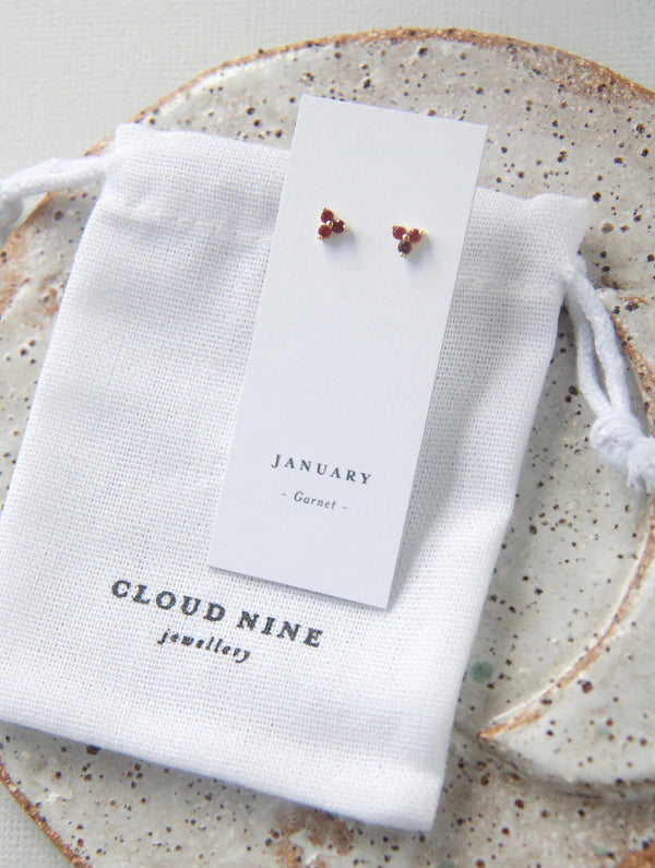 Birthstone Studs | January | Silver