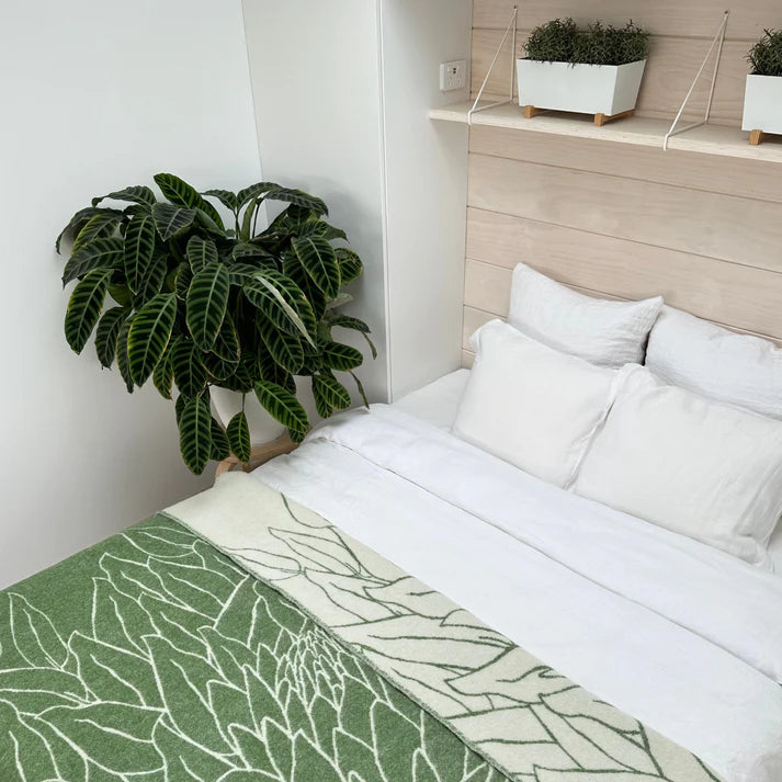 Nordic Chill | Protea | Forest Green