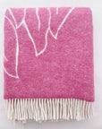 Nordic Chill | Protea | Rosa