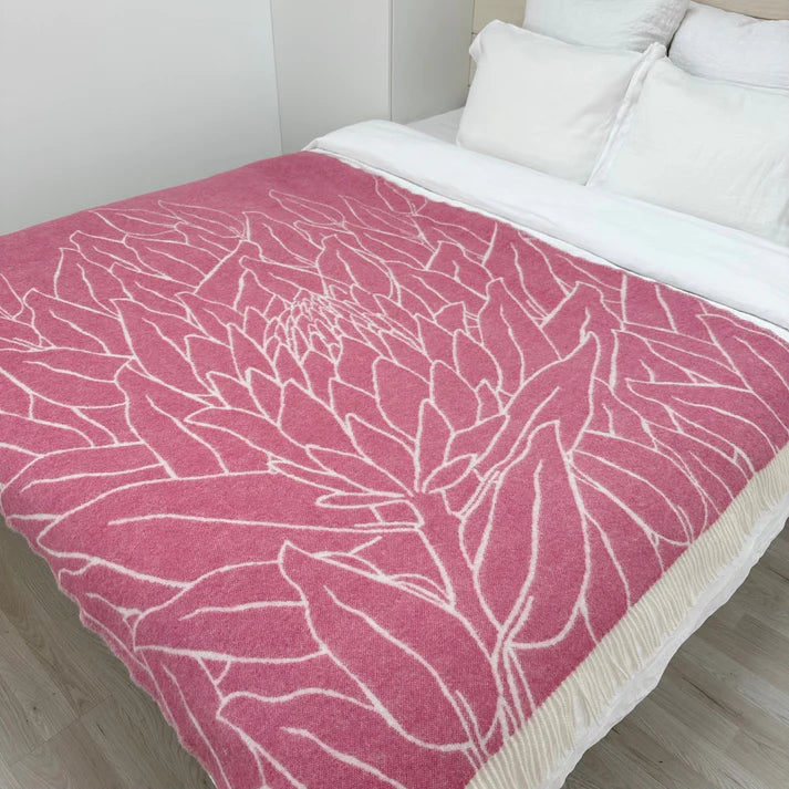 Nordic Chill | Protea | Rosa