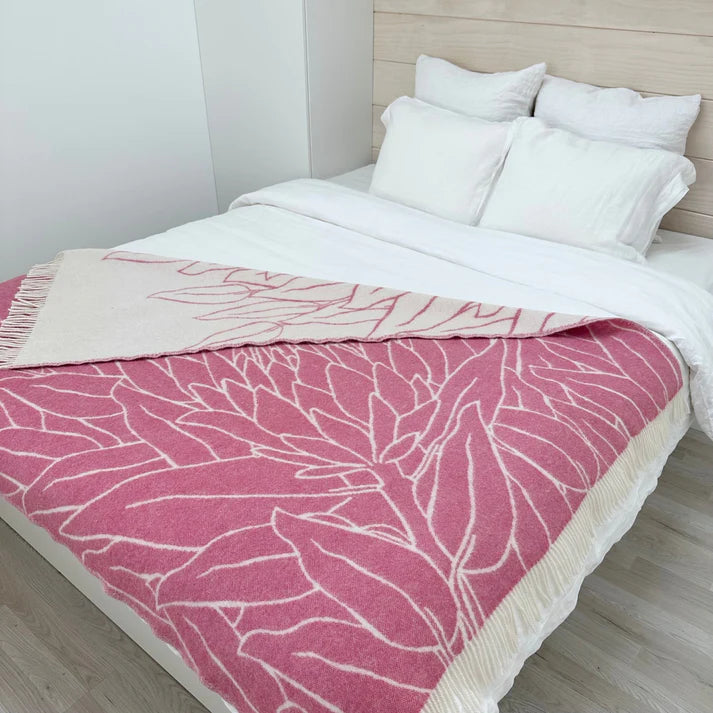 Nordic Chill | Protea | Rosa