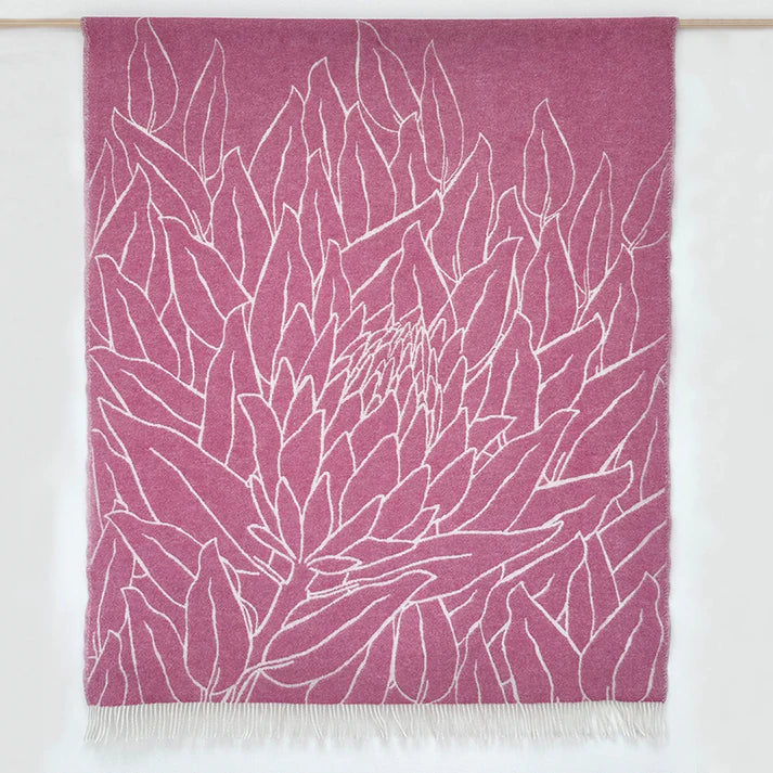 Nordic Chill | Protea | Rosa