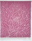 Nordic Chill | Protea | Rosa