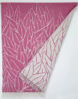 Nordic Chill | Protea | Rosa