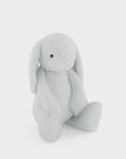 Snuggle Bunnies | Penelope the Bunny | Moonbeam
