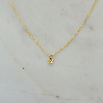 Daisy Day Necklace - Gold