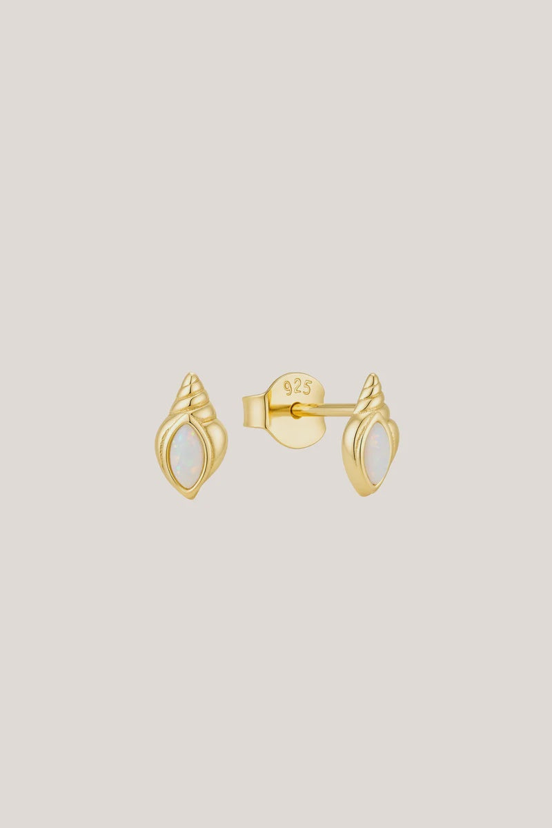Conch Shell Studs - Gold
