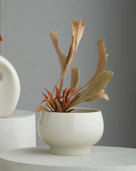 Ikebana Vase | White Crackle