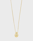 Kaisyn Necklace Gold-Plated