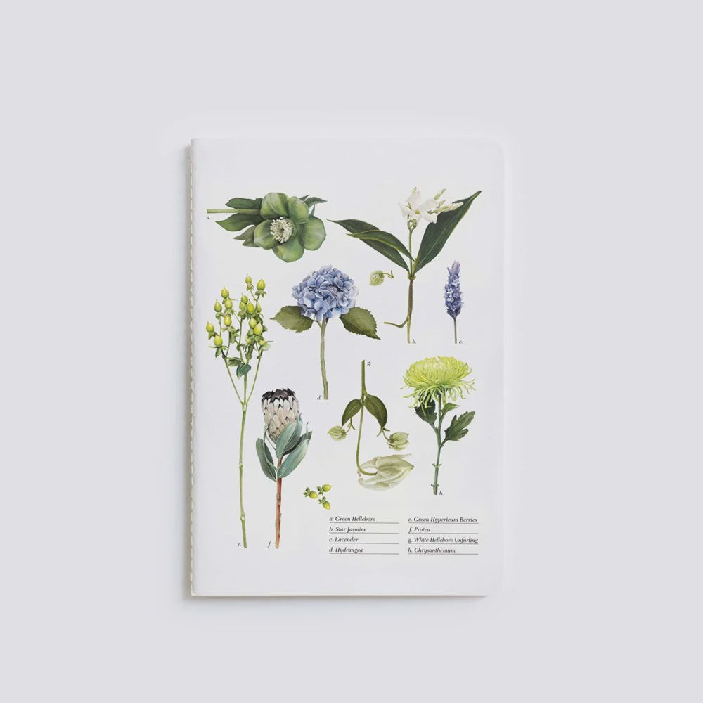 Father Rabbit | Notebook | Botanical Chart