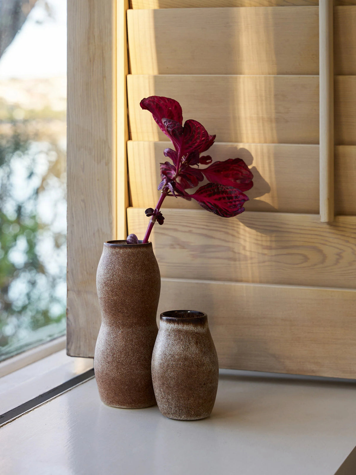 Pod Bud Vase - Nut | Large
