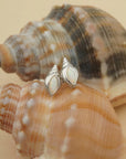 Conch Shell Studs - Silver