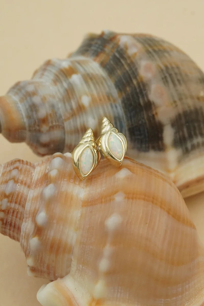 Conch Shell Studs - Gold