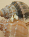 Conch Shell Studs - Gold