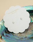 Conch Shell Studs - Silver