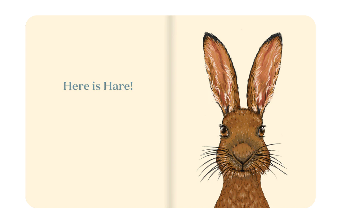 Here Is Hare Board Book