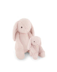 Snuggle Bunnies | Penelope the Bunny | Blush