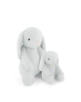 Snuggle Bunnies | Penelope the Bunny | Moonbeam